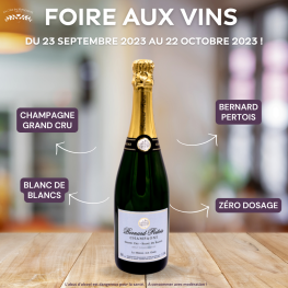 Découvrez les promotions de la Foire aux Vins 2023 sur les champagnes à la Cave Indépendante ! 