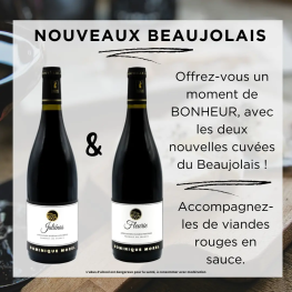 Découvrez deux nouveaux Beaujolais du domaine Gry-Sablon à moins de 20,00€ sélectionnés par votre caviste Anthony !