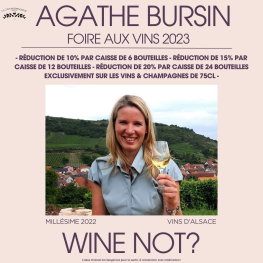 La vigneronne Agathe Bursin est de nouveau disponible à la Cave et en ligne avec le millésime 2022 !