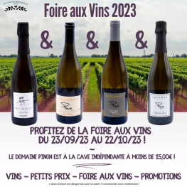 Découvrez les cuvées du Val de Loire avec les promotions de la Foire aux vins 2023 à la Cave Indépendante de Viroflay 